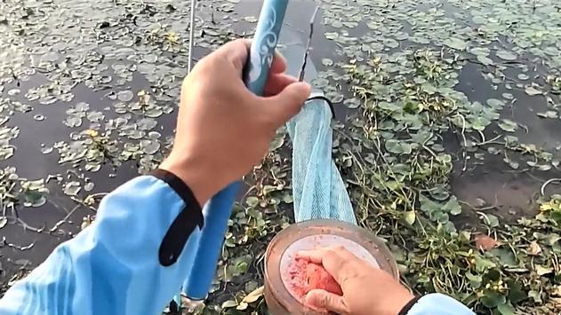 |钓鱼时饵料如何搭配？饵料的味型怎样选择才合理？