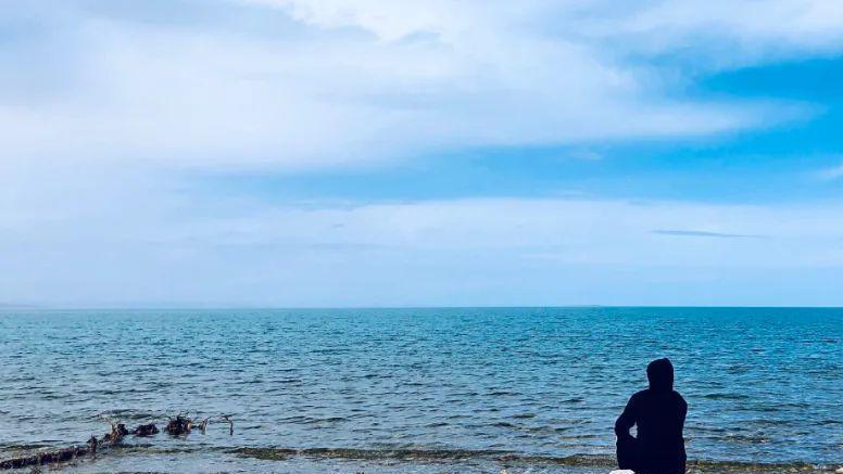 求职|中年人的简历，狗都嫌