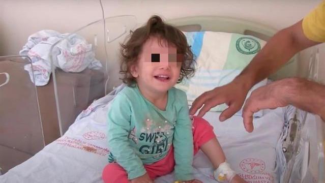 以牙还牙！大蛇袭击2岁女童反被咬死，网友：谁先动的手？