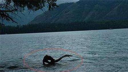 喀纳斯湖水怪未解之谜：可以确定湖水里是一定有大型生物