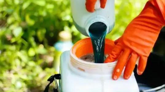 过期的农药还能用吗？老农实践证明告诉你答案，刷新你的认知