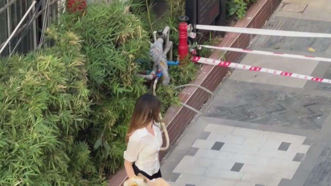 广东精神小伙给“女神”送花，女子冷漠接下，转身将花扔进垃圾堆