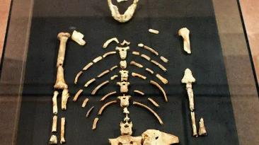 人类进化史上这13万年究竟被谁抹去了？为什么人类祖先“凭空蒸发”了这么久？