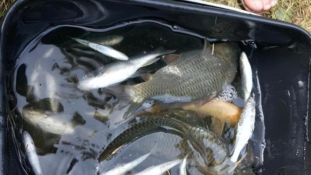 |钓鱼遇到5种情况，说明可以收竿回家了，再钓多半都会空军