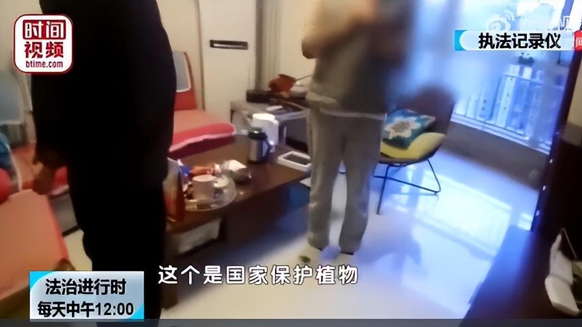 女子野山摘了一株花被刑拘