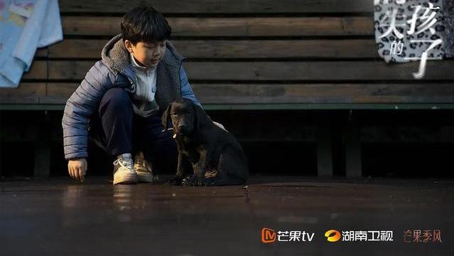 林楚萍|《消失的孩子》杨莫的失踪，大有作用？或许会解开两个谜团