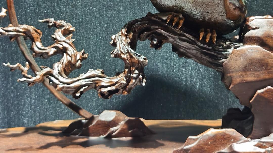 玛瑙|天然奇石，金刚鹦鹉