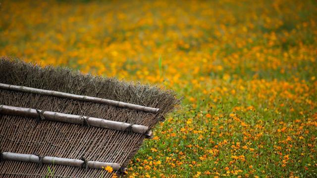 无锡|非必要不远行，七天长假，打卡七个个零门票不拥堵的无锡小众景点