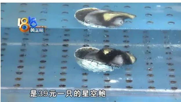 浙江杭州，一男子和朋友到某马鲜生吃饭，点了石斑鱼、黑虎虾，还有叫星空鲍的鲍鱼