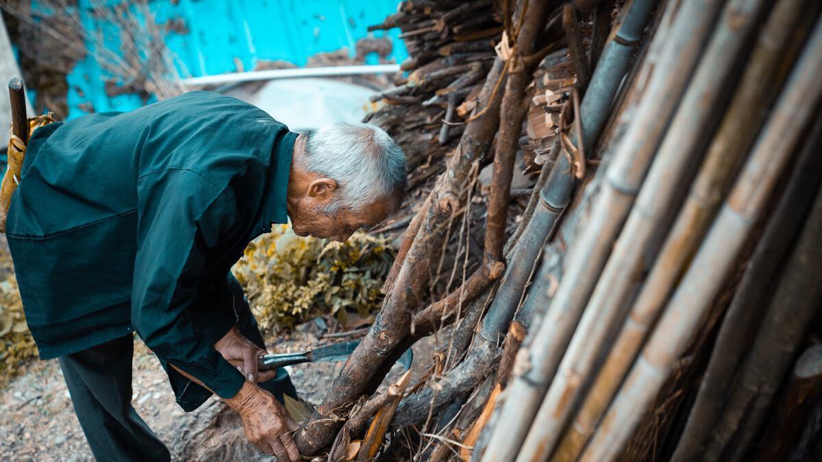 董宇辉|董宇辉去哪了？是在刻意避风头吗？来看看二舅视频的作者就知道了