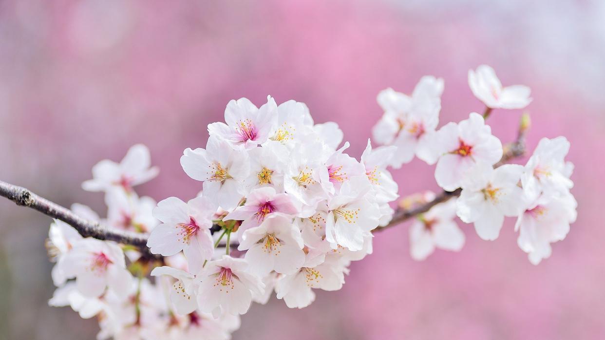 |职场中，具备这三种思维的人，往往很受器重