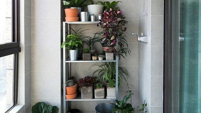 80平方米的小户型，清新森林系设计，客厅的设计最好看，实用性强