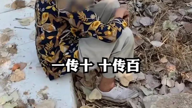 女子承包千亩南瓜遭附近老人偷瓜，上去理论反被对方道德绑架