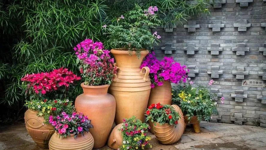 小空间花园设计 —— 4宜与4不宜