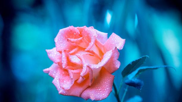 |职场人想要混得风生水起，这四个特质至关重要