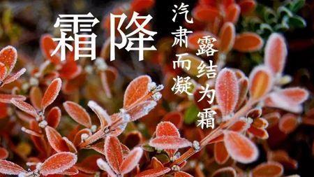 “霜降吃4鲜，一年病不沾”！4鲜指啥？别不懂吃，为入冬打基础