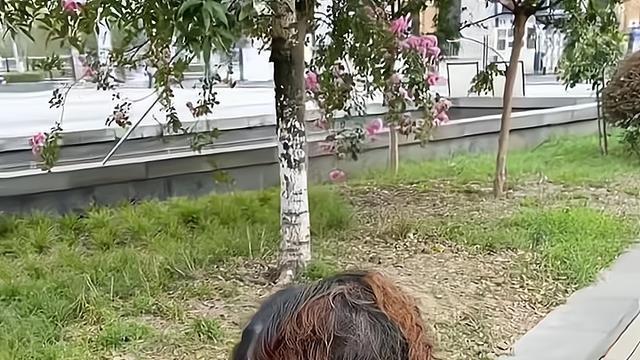 一男子以为好友与女子接吻，拿手机进行拍摄，走近才发现是误会