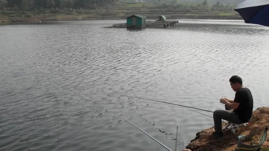 国语|钓鱼不打窝，钓得也不多，打窝时常犯的几个错误，你犯过吗？