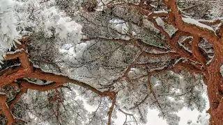 布达拉宫|冬天的泰山，就此静望“天下第一山”在雪中安睡