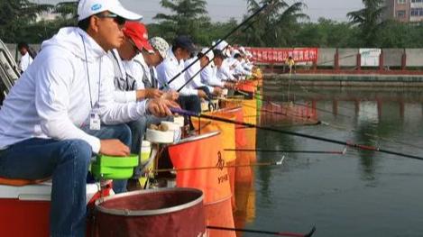 |黑坑精英赛，黑坑大师分段位，新增钓鱼鄙视链，没钱钓不起鱼了