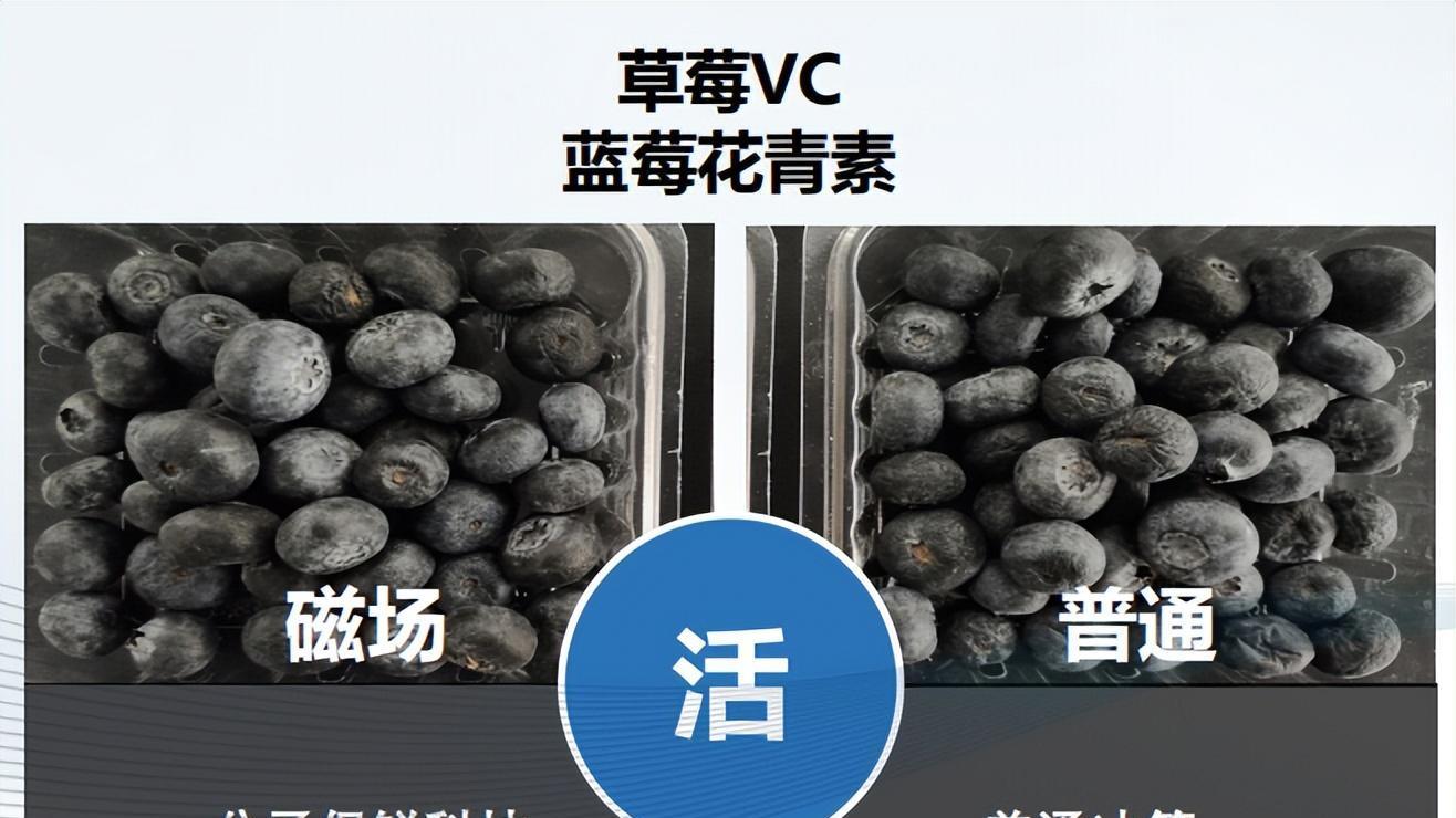 魅族|备受年轻人青睐的饮食健康家电——TCL格物冰箱Q10