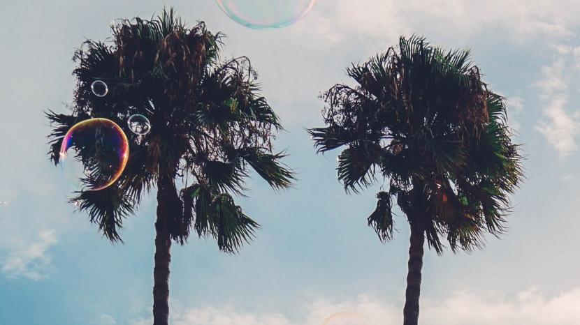 招聘|最不会讨好人的星座，眼里揉不得沙子，拒绝得体