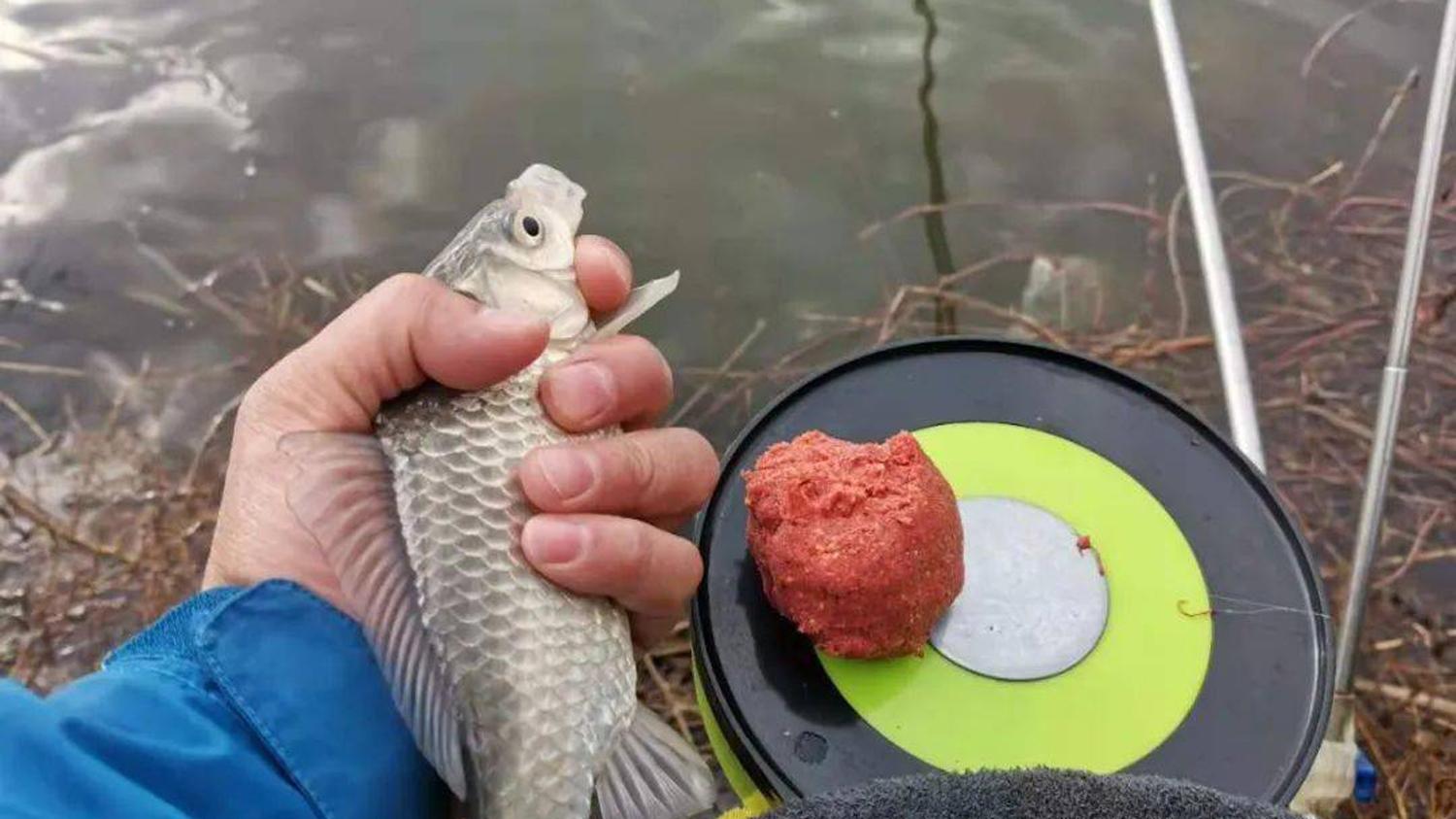 |鱼饵和钓具的测试结果可信吗？鱼竿、鱼线和鱼饵测试的可信度