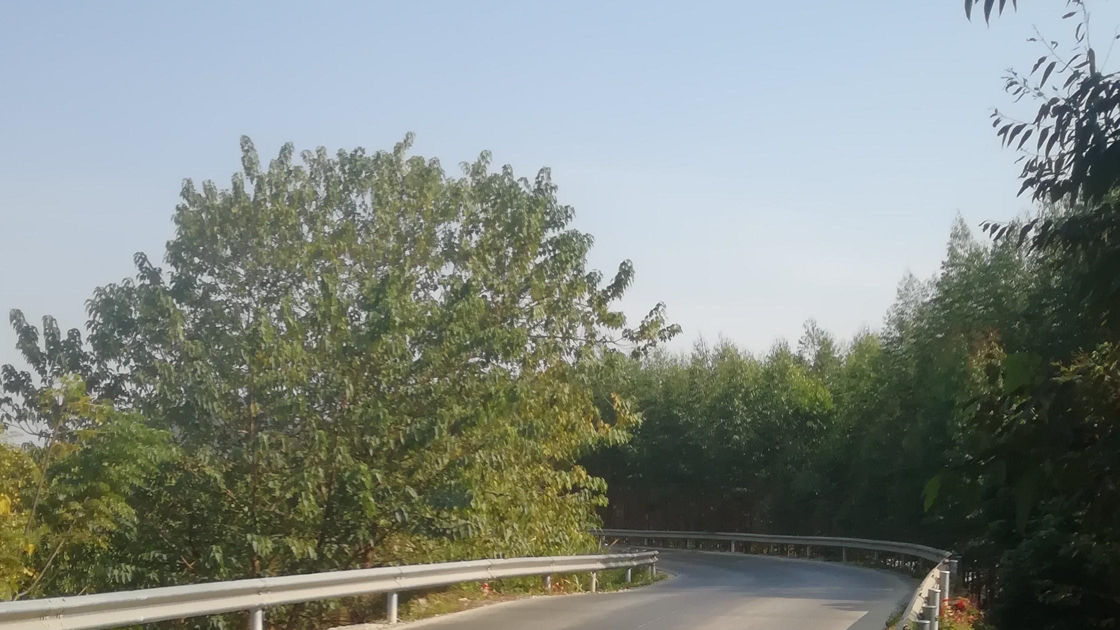 广西南宁市隆安县有座能辟邪的桥，多次重大事故都未出过人命