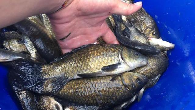 |秋季遇上这种天气最好别钓鱼，鱼不开口姜太公来了也没用！