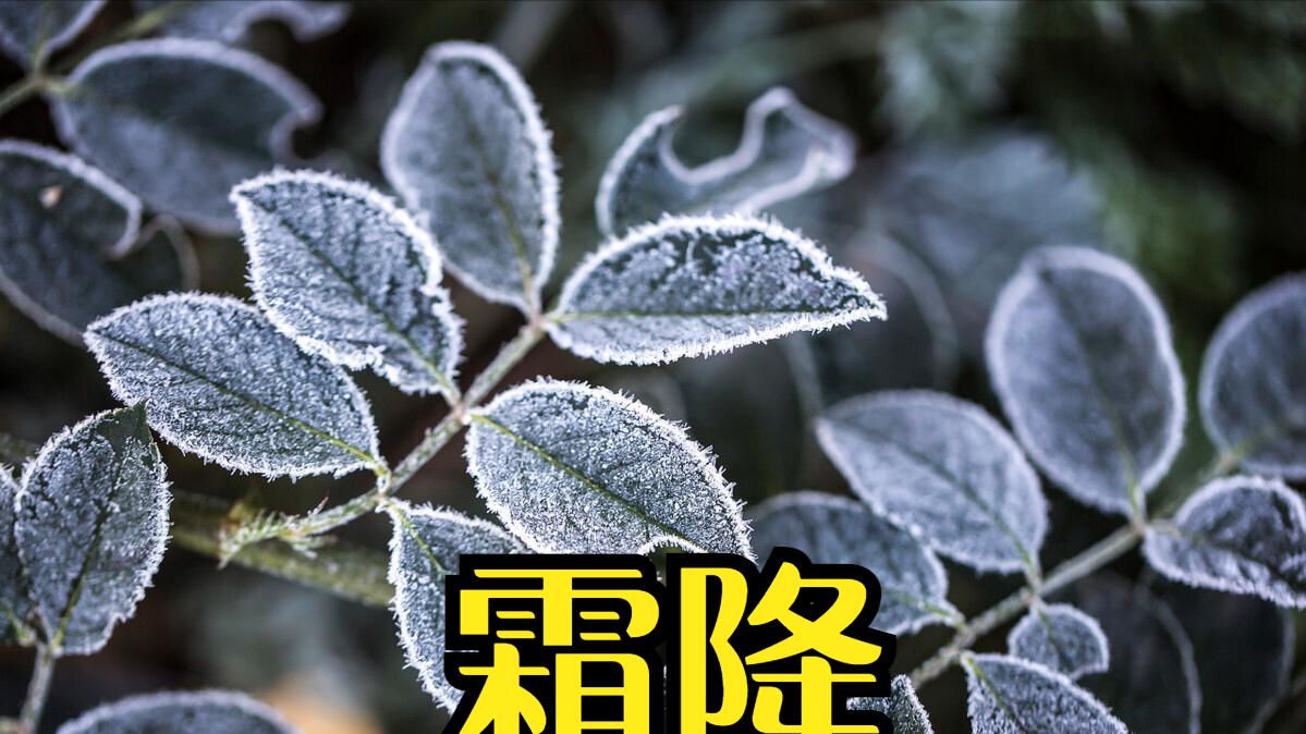 10月23号霜降，老人说“九月霜，来年荒”，今年是九月霜吗？