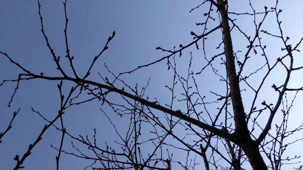 一天深夜，漂亮寡妇的家里，忽然传出了呼救声