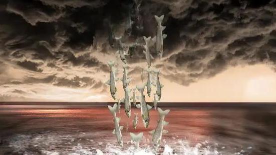 世界上最奇怪的4种雨，俄罗斯居然下过钱雨？是你想要的那种吗？