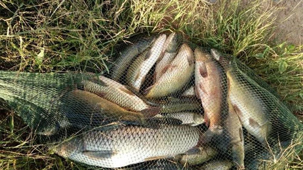 |钓鱼技巧：野钓选钓位，遇上铧尖钓左不钓右，这是啥原理？