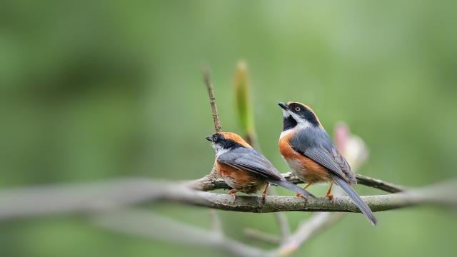 |在职场，真正有“心计”的人，与同事关系再好，也不会做这五件事