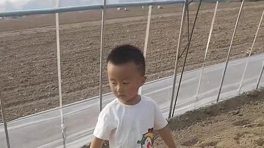 奇奇|田爸强调一条心，奇奇下地被夸自理能力强，网友：何时回九江？