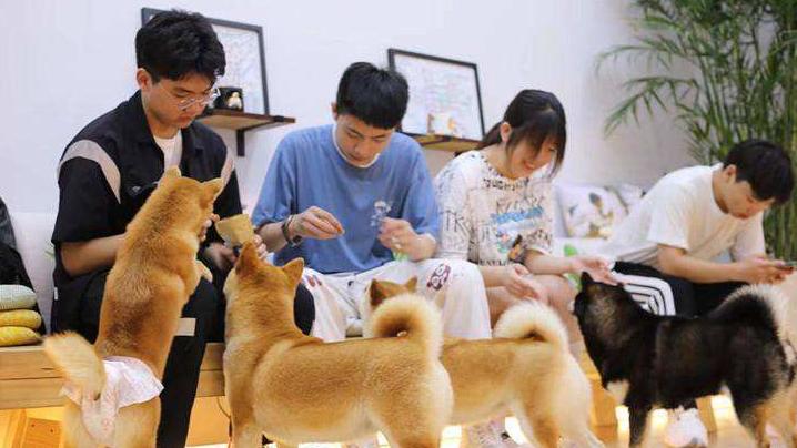 小米科技|家庭“毛孩子”的生意，小米、美的等科技巨头盯上了！