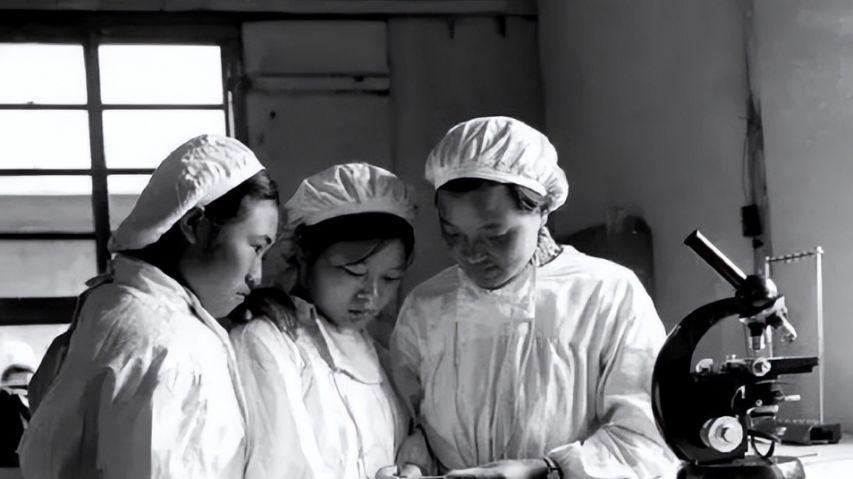 景宝玲23岁为国牺牲，初恋为其守墓一生未婚，弟弟苦苦寻找64年