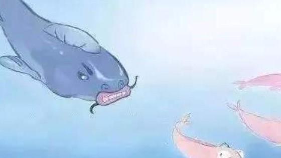 明星|小心职场鲶鱼效应，老员工不要为难自己了