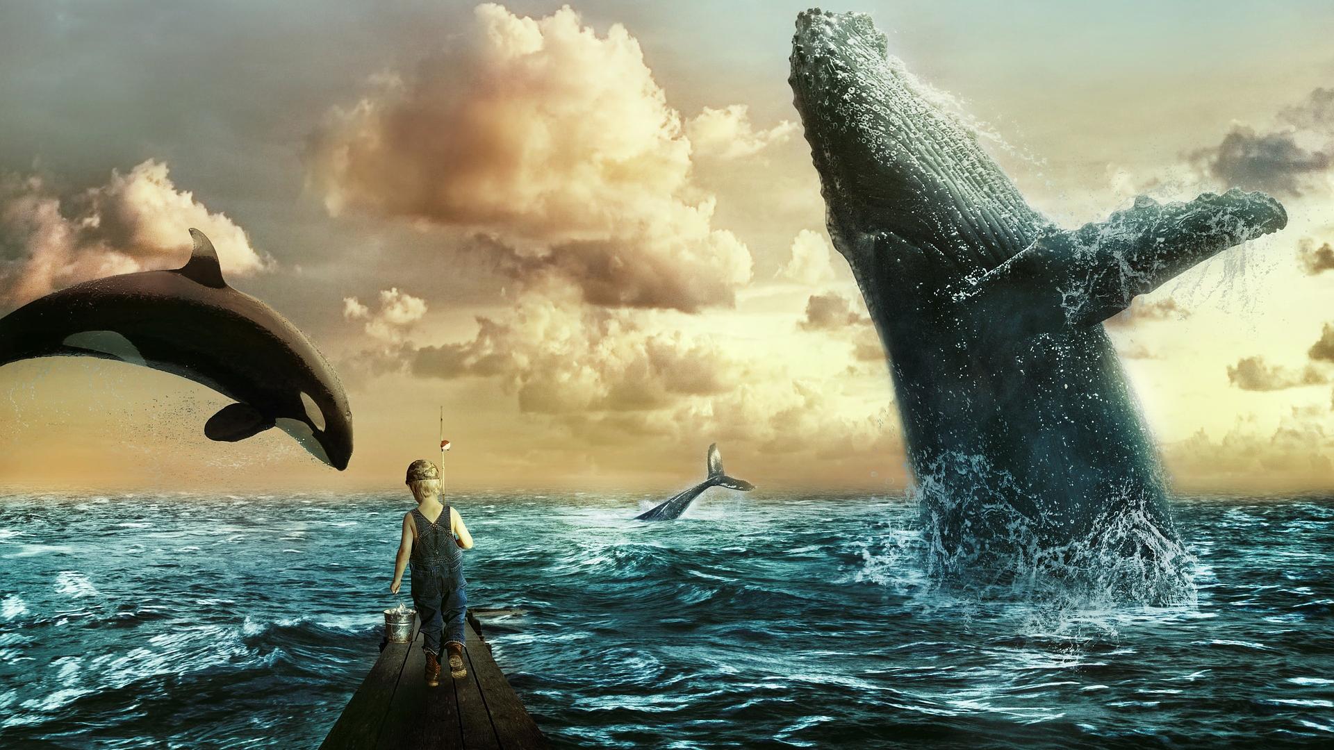 大自然有多残忍？鲸鱼不会自然死亡，而是在没有力气后被活活淹死！
