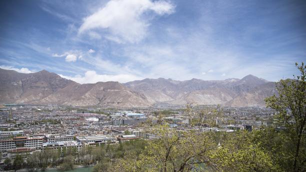 荷花|世界上纬度最低的地方，每年冬天都是游玩的一大旺季