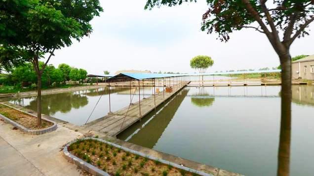 徽州|打卡武汉城区僻静的八库湾桥，位于两大湖泊之间，遍布钓场和鱼庄