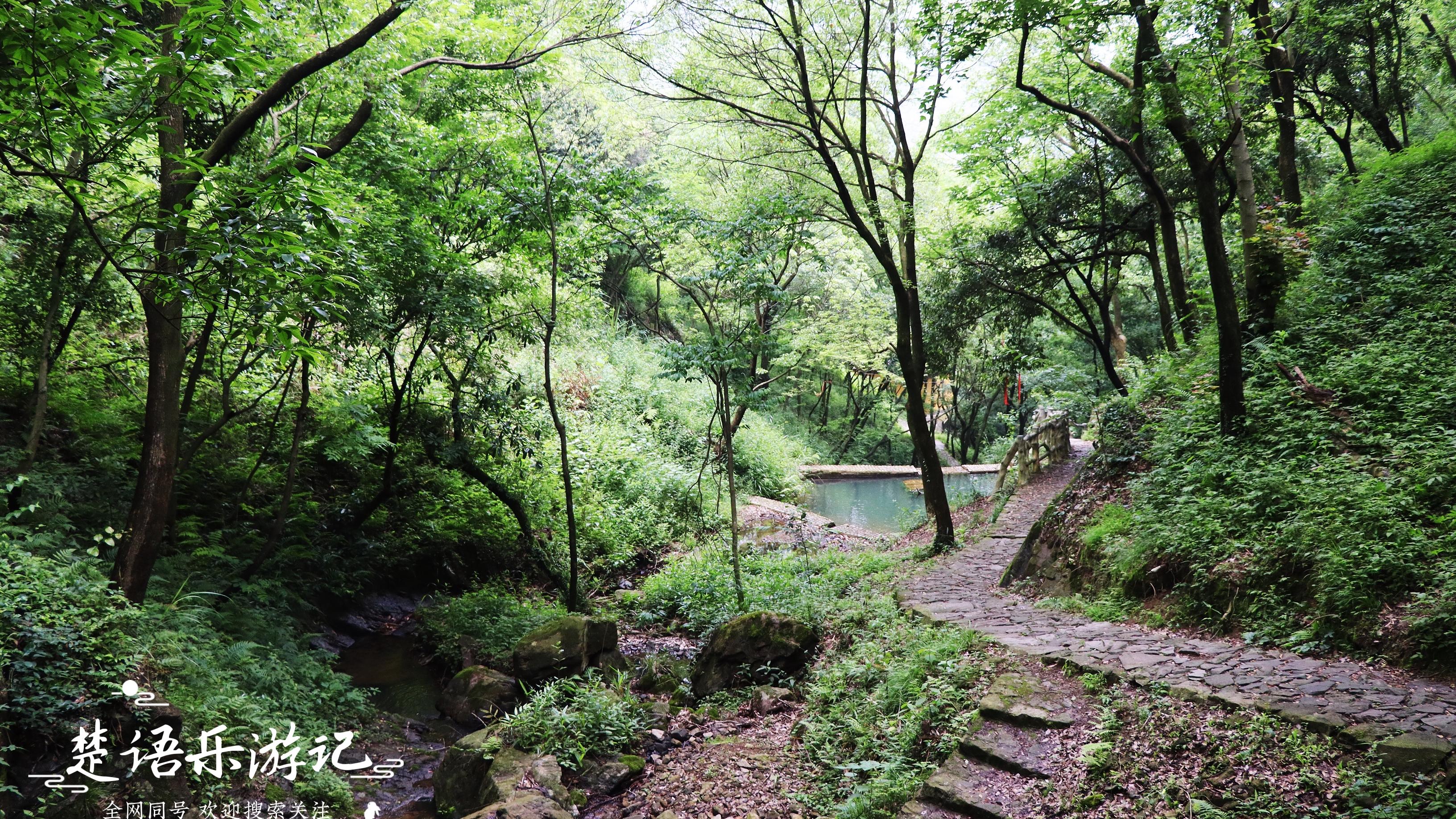 宁夏|宁波城西的美丽乡村，山涧古道瀑叠溪清，堪称浙东新九寨，美呆了