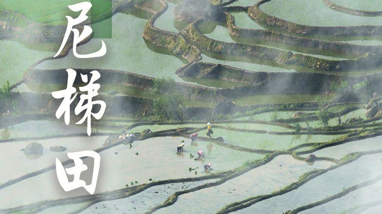 日出|“三千四百年”带你开启神奇的红河之旅！