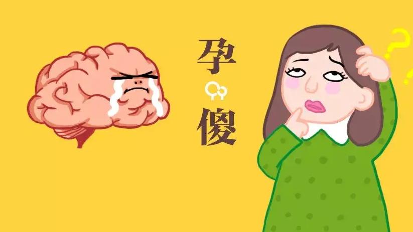 女神范|俗话说“一孕傻三年”，怀孕之后真的会变傻吗?