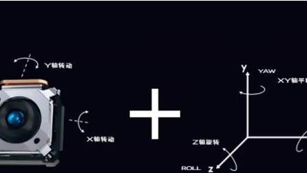 仿生学奥秘，鸡头为啥能防抖？解密后人类发明了相机云台！