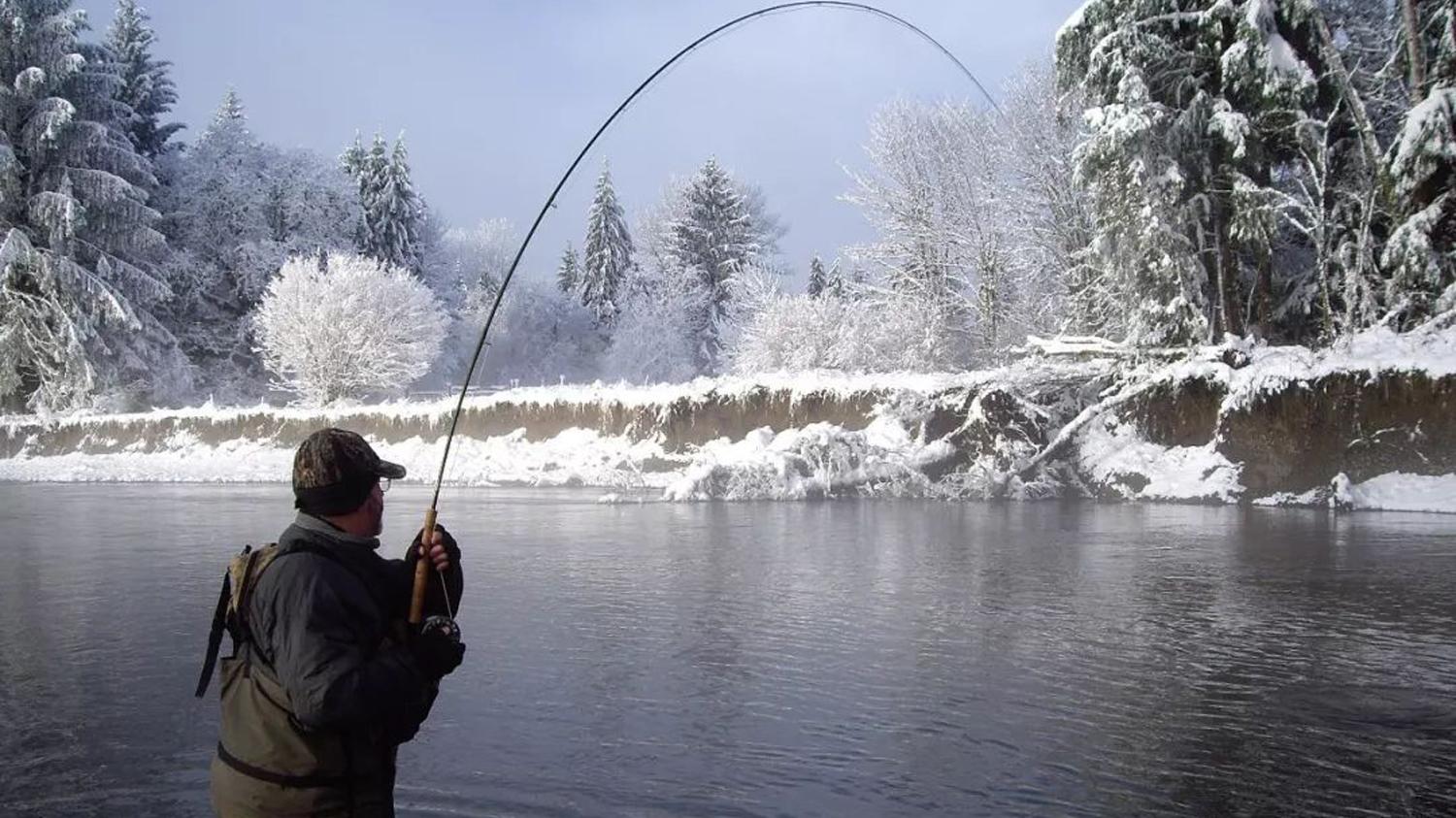 |冬季钓鱼死窝的4个原因，冬季钓鱼想要不死窝，必须掌握的技巧