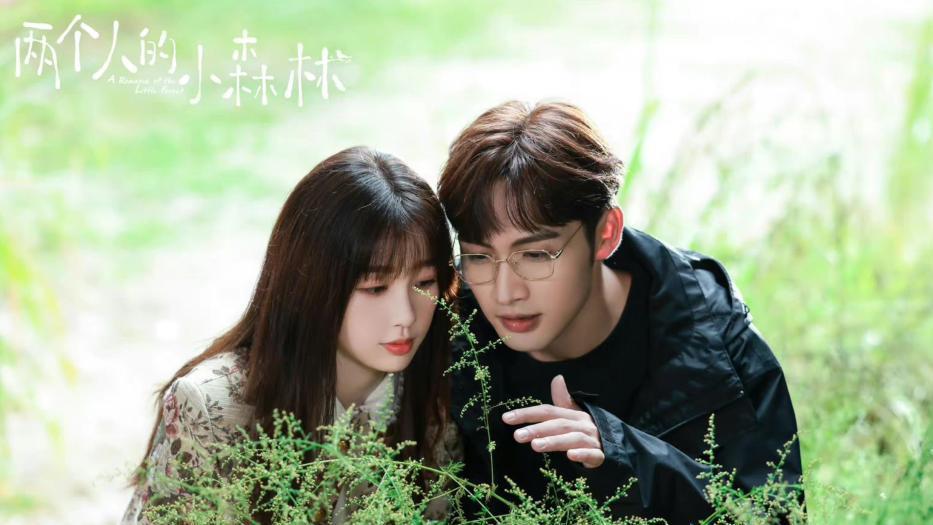 赵丽颖|爱奇艺未来一年作品排播：赵丽颖即将登场，杨幂刘诗诗的排到明年