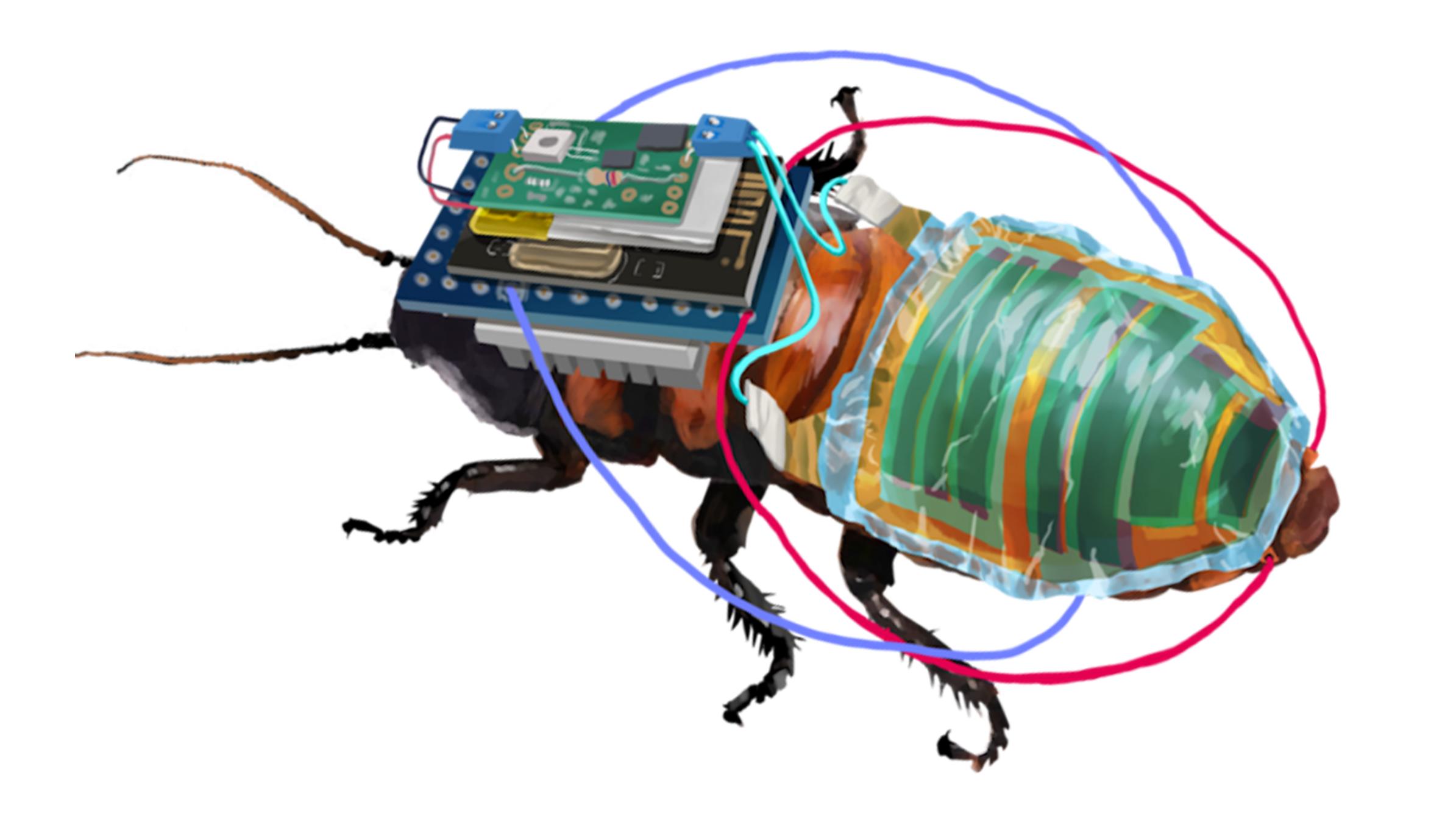 太阳能电池供电的远程控制的半机械蟑螂