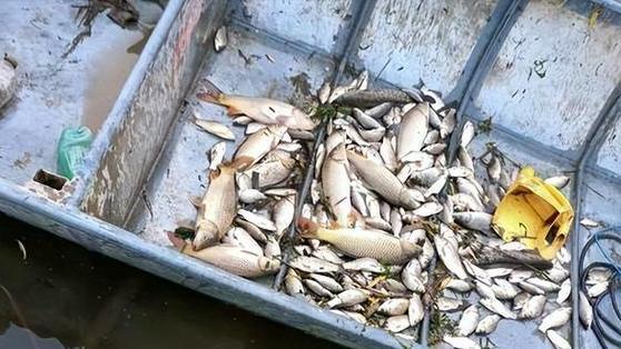 山东省|山东一男一女大白天干丑事，钓鱼人将其拍下发到网上，网友：严惩