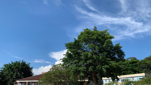 |自古太平将军定，不见将军享太平